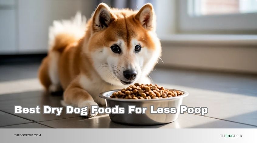 best dry dog foods for less poop