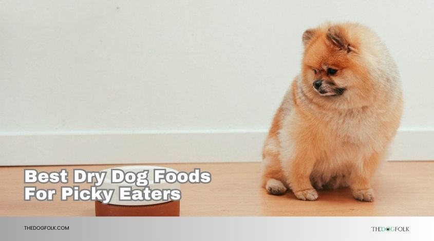 best dry dog foods for picky eaters