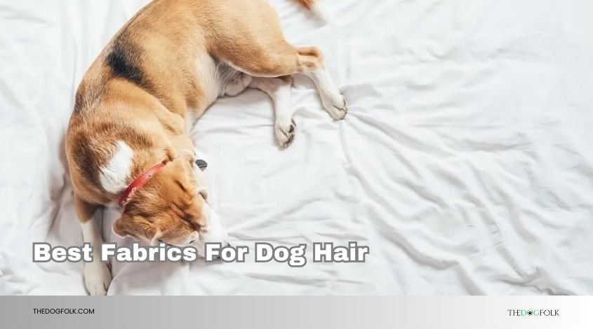 best fabrics for dog hair