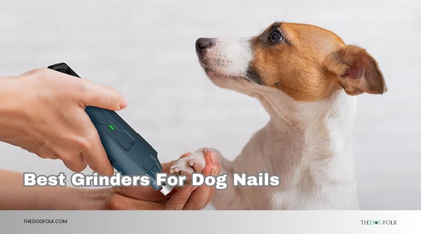 best grinders for dog nails