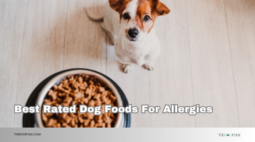 best rated dog foods for allergies