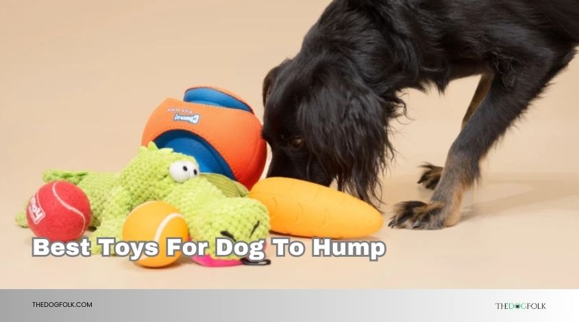 best toys for dog to hump