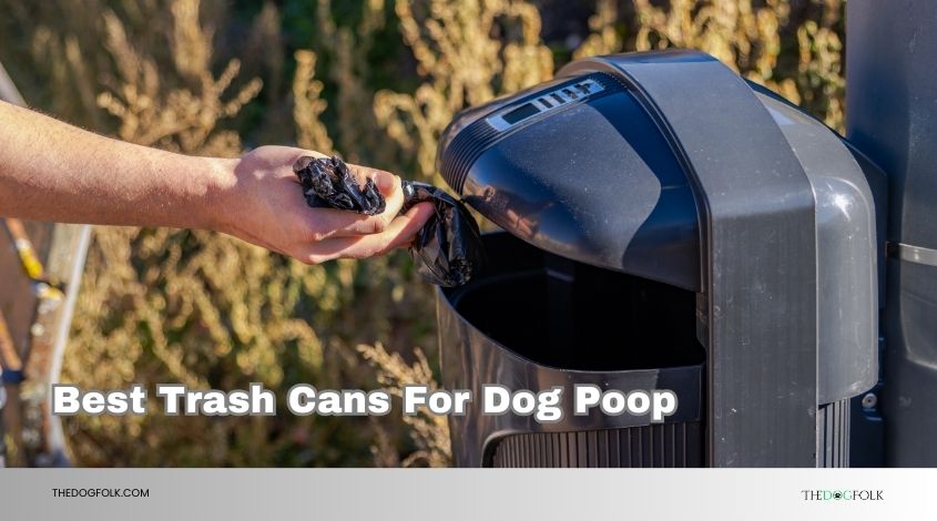 best trash cans for dog poop