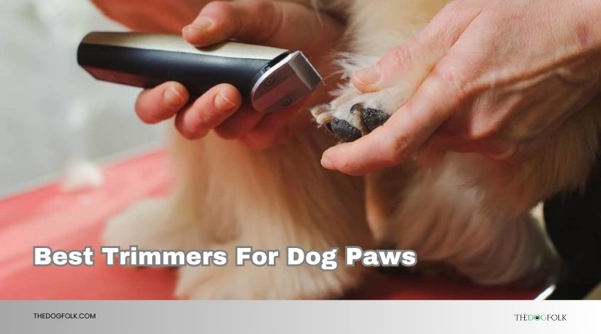 best trimmers for dog paws