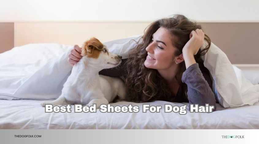 best bed sheets for dog hair