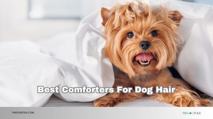 best comforters for dog hair