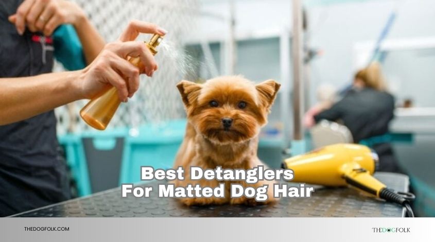 best detanglers for matted dog hair
