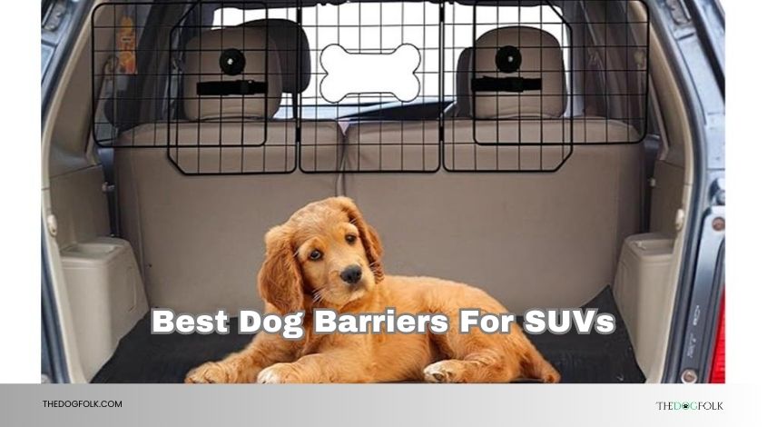 best dog barriers for suvs