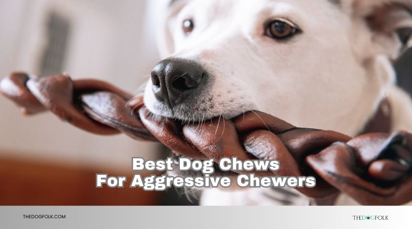 best dog chews for aggressive chewers