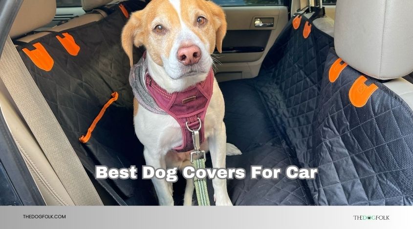 best dog covers for car