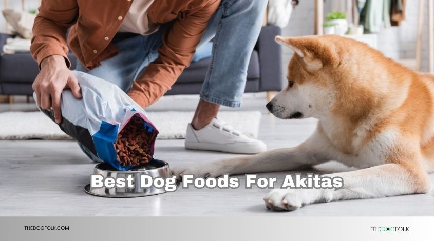 best dog foods for akitas