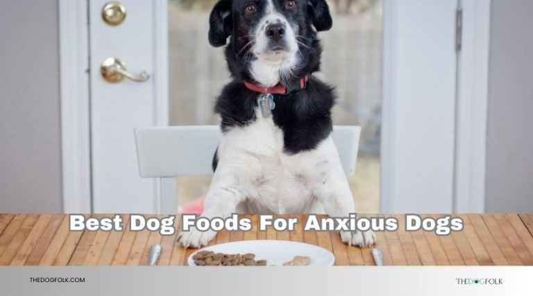The 10 Best Dog Foods For Anxious Dogs 2026: Top Picks