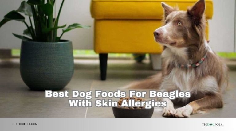 A closer look at Wellness Dog Food For Allergies