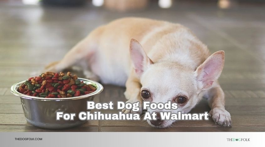 best dog foods for chihuahua at walmart