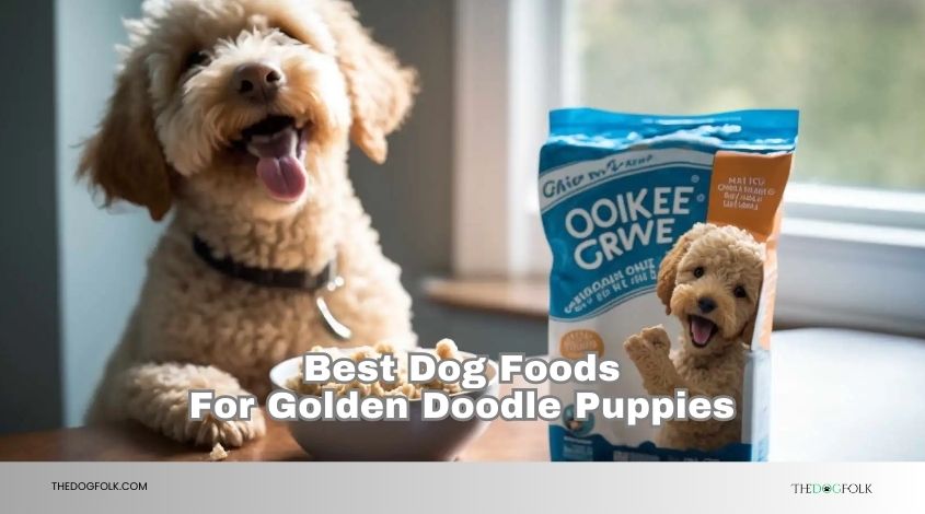 best dog foods for golden doodle puppies