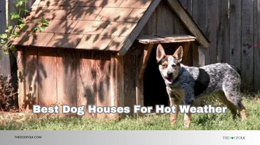 best dog houses for hot weather