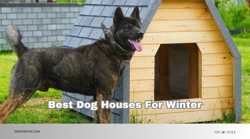 best dog houses for winter