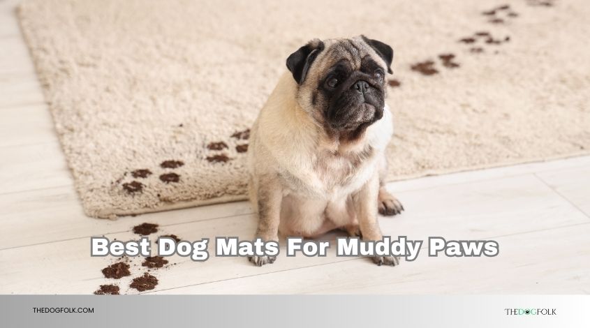 best dog mats for muddy paws