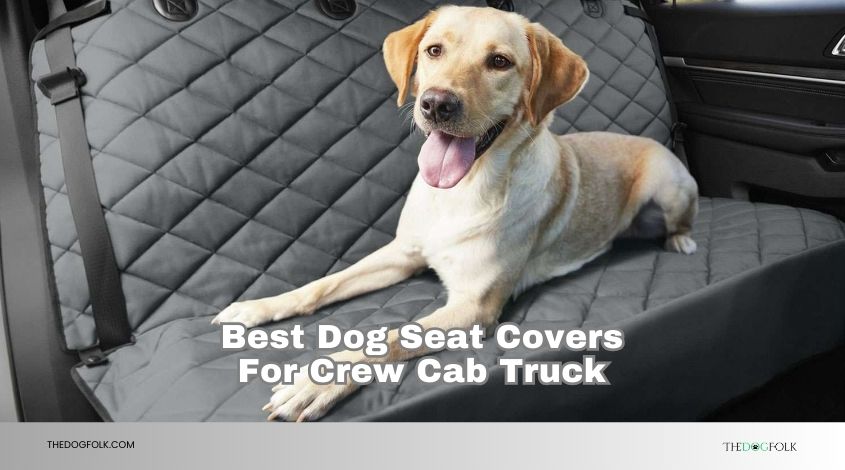best dog seat covers for crew cab truck