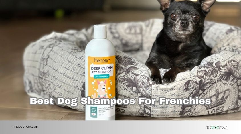 best dog shampoos for frenchies
