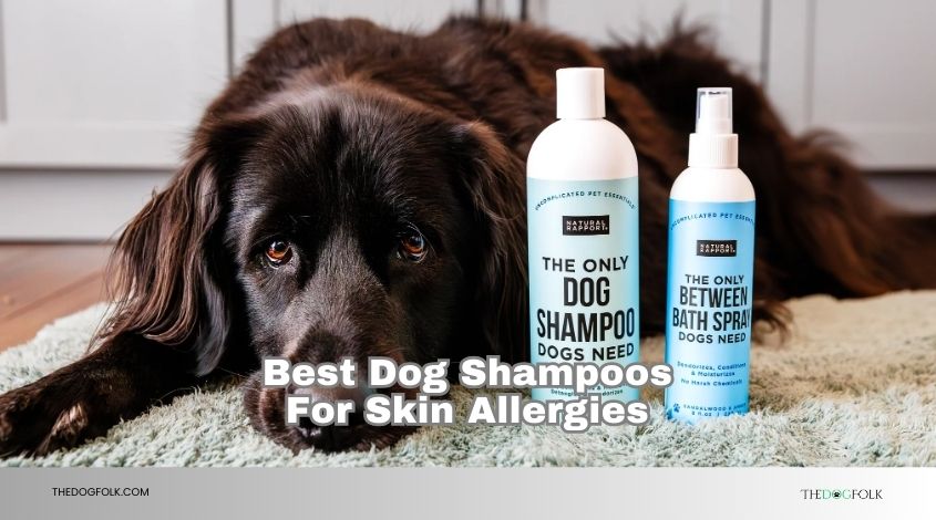 best dog shampoos for skin allergies