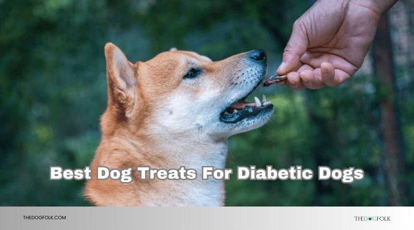 best dog treats for diabetic dogs