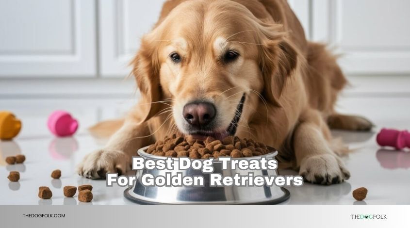 best dog treats for golden retrievers