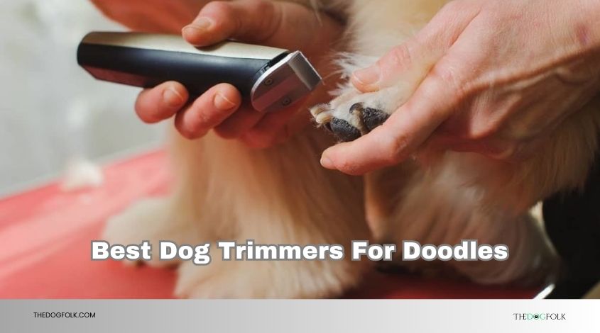 best dog trimmers for doodles
