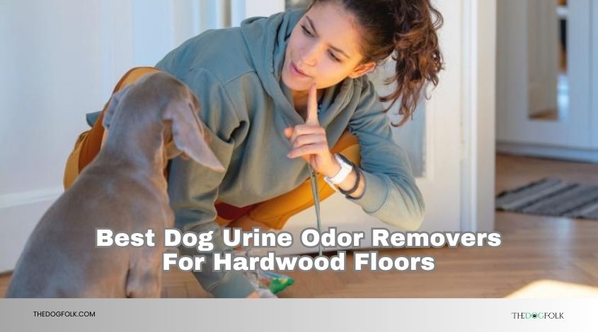 best dog urine odor removers for hardwood floors