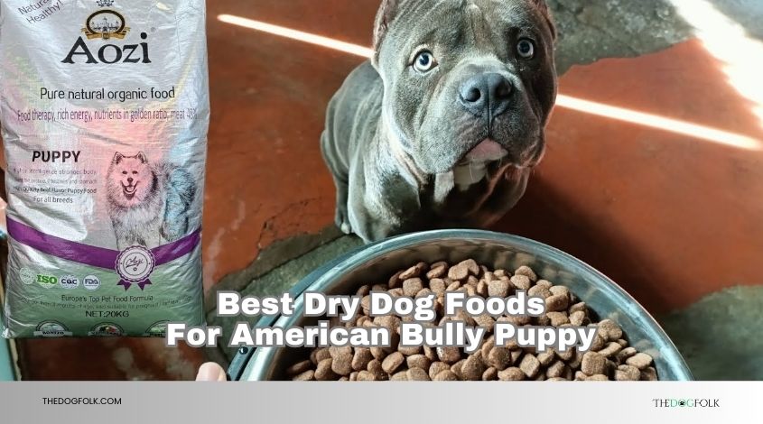 best dry dog foods for american bully puppy