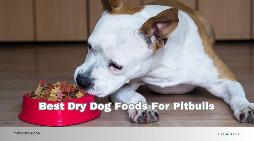 best dry dog foods for pitbulls
