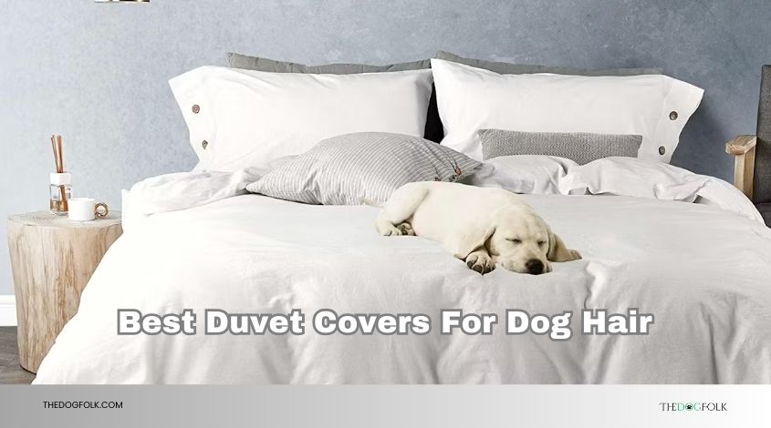 best duvet covers for dog hair