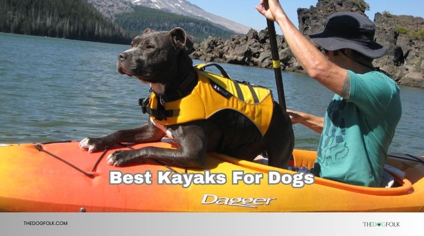 best kayaks for dogs