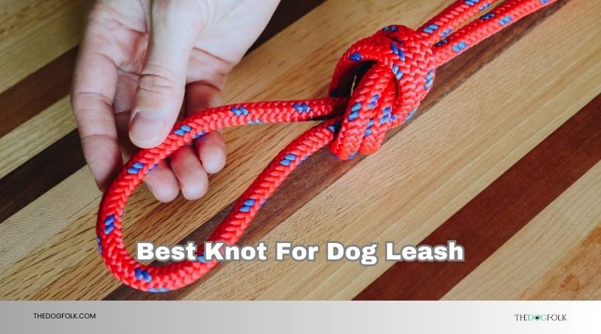 best knot for dog leash