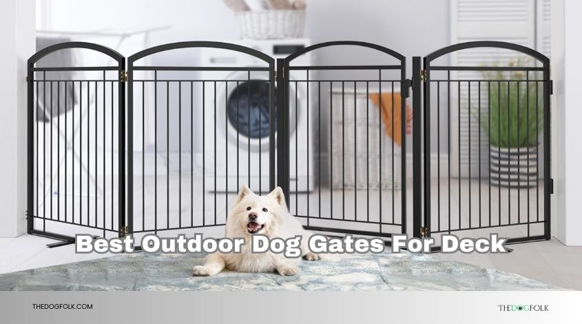 best outdoor dog gates for deck
