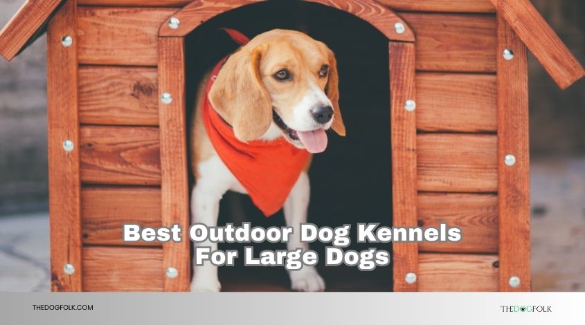 best outdoor dog kennels for large dogs