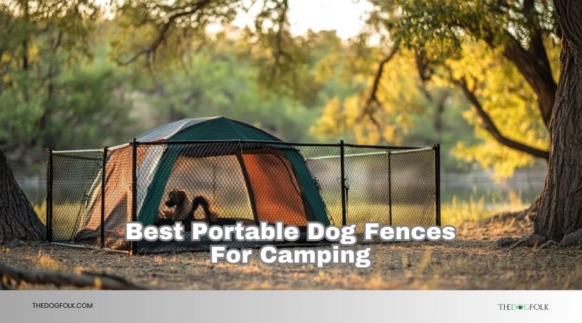 best portable dog fences for camping
