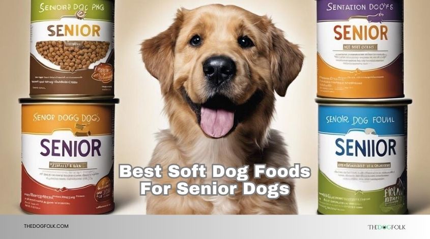 best soft dog foods for senior dogs