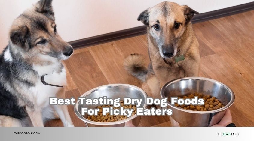 best tasting dry dog foods for picky eaters