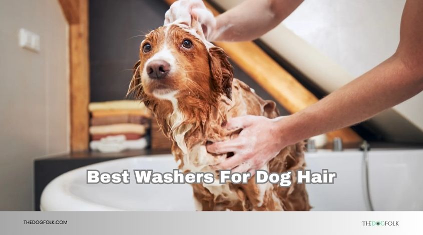 best washers for dog hair