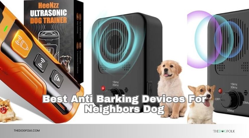 best anti barking devices for neighbors dog