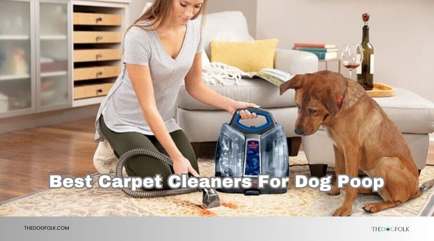 best carpet cleaners for dog poop