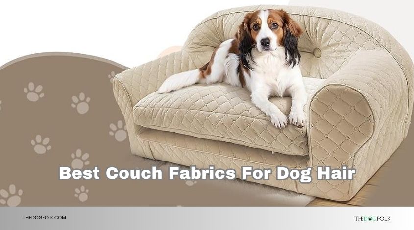 best couch fabrics for dog hair