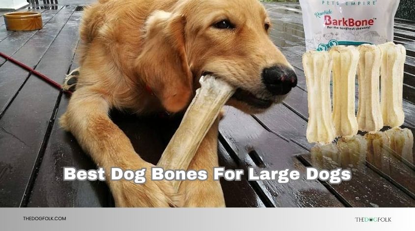 best dog bones for large dogs