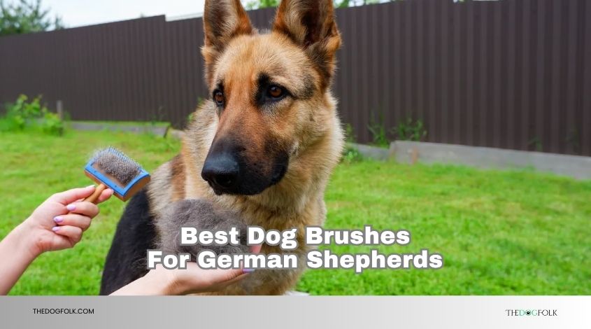 best dog brushes for german shepherds
