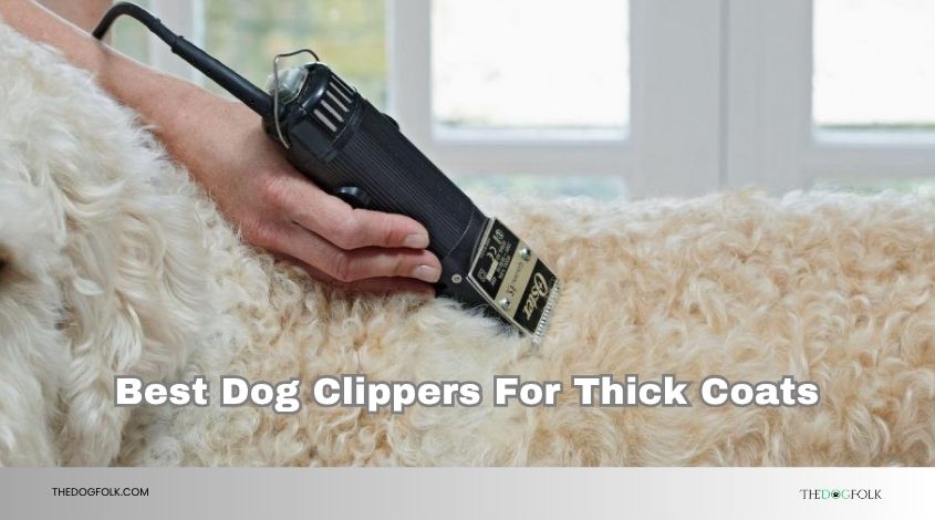 best dog clippers for thick coats
