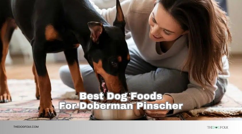 best dog foods for doberman pinscher
