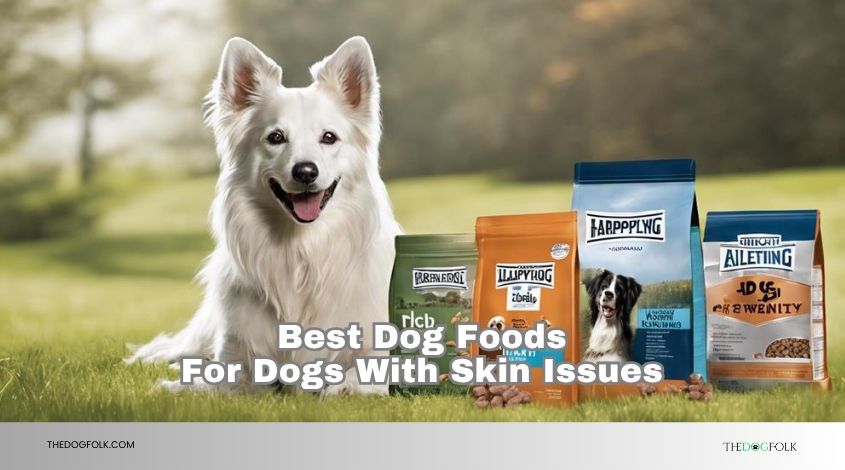 best dog foods for dogs with skin issues