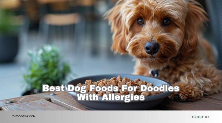 best dog foods for doodles with allergies