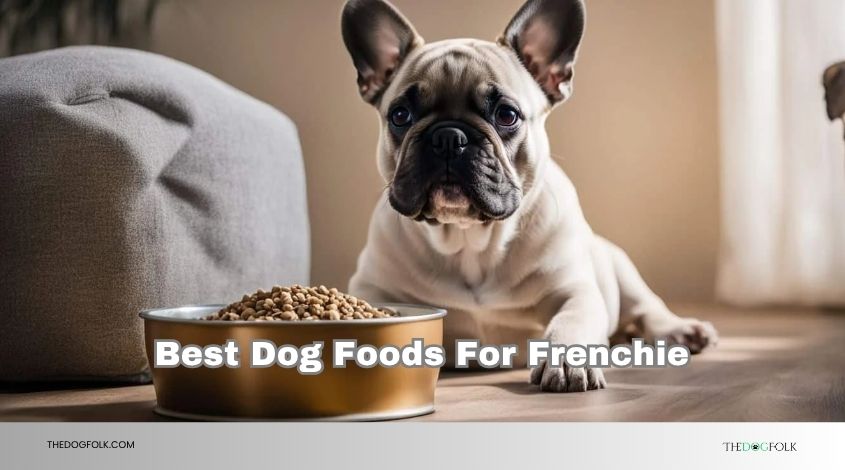best dog foods for frenchie